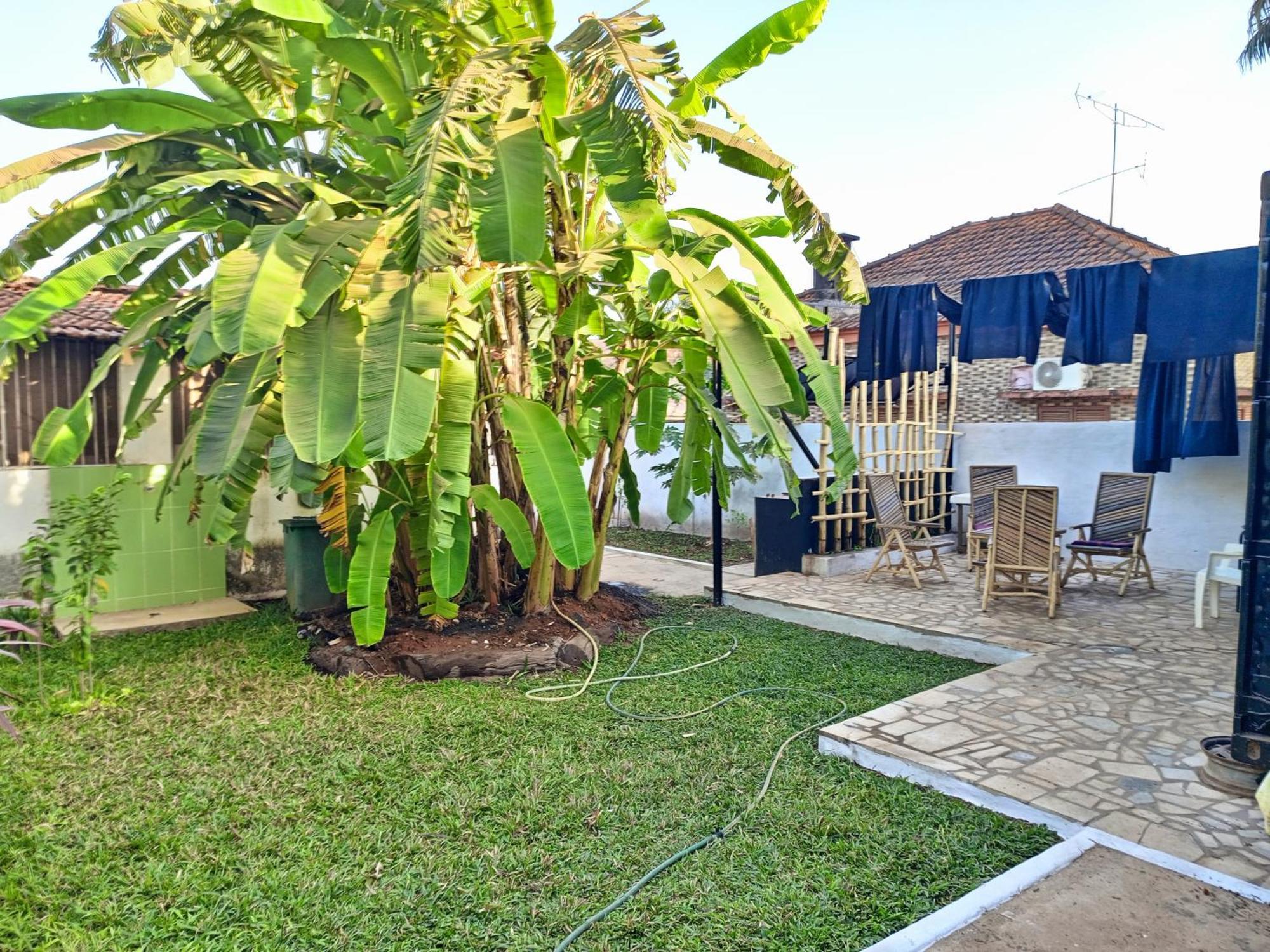 Casa Cacheu Homestay Guest House ビサウ エクステリア 写真
