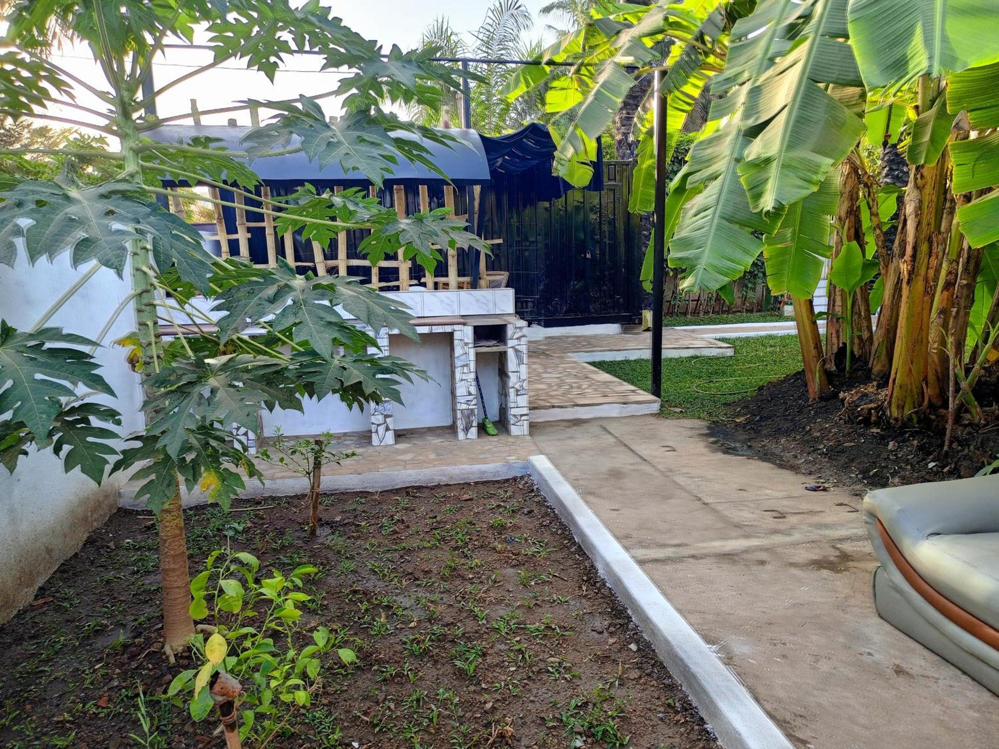 Casa Cacheu Homestay Guest House ビサウ エクステリア 写真